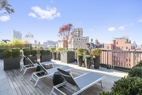 Rooftop terrace with lounge chairs, potted plants, and city view at The Chelsea Apartments