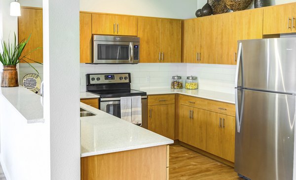Modern kitchen with stainless steel appliances at North Bethany Ridge Apartments, offering luxury living spaces