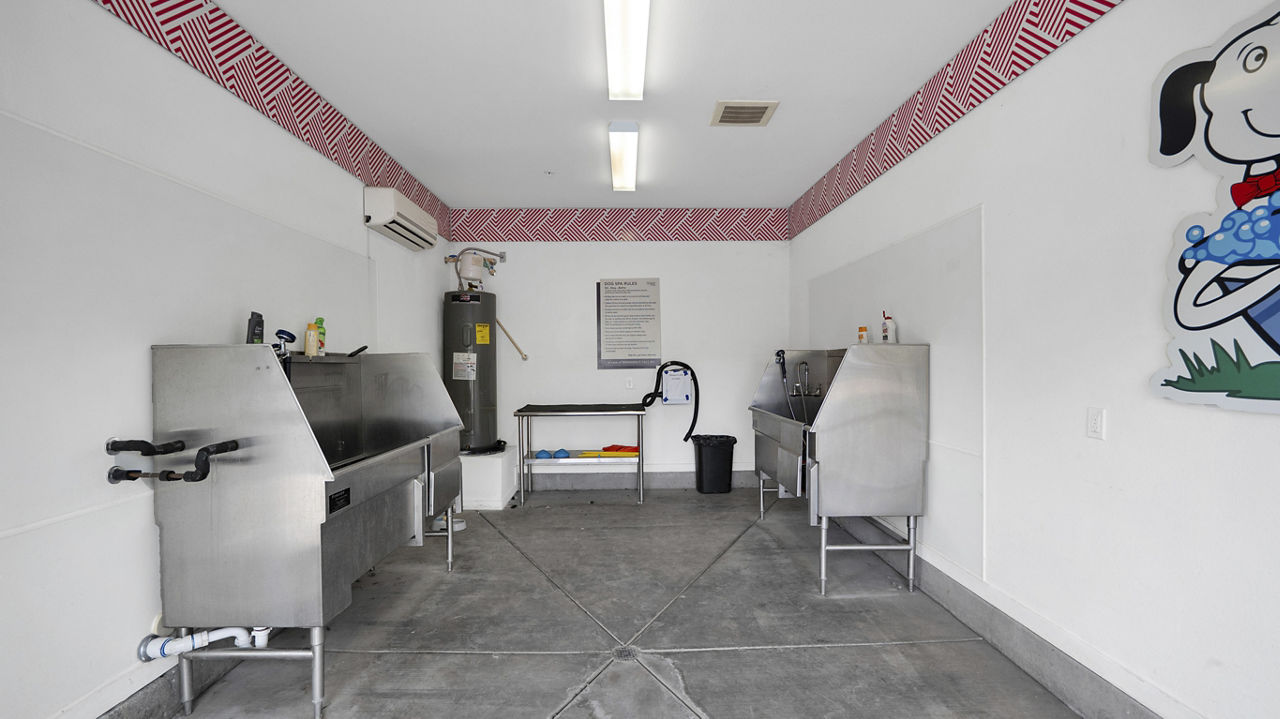 Pet wash at The Cooper 202 Apartments