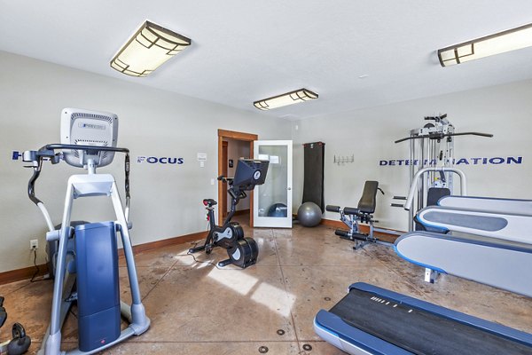 State-of-the-art fitness center with modern equipment at Carrington Place Apartments Stay active and healthy in a luxurious environment