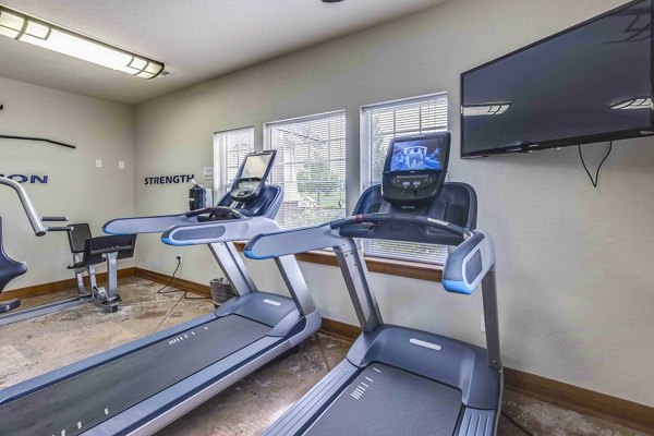State-of-the-art fitness center with modern equipment at Carrington Place Apartments