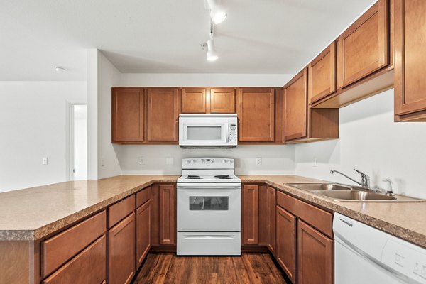 Modern kitchen with stainless steel appliances at Carrington Place Apartments