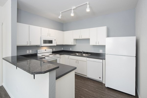 Modern kitchen featuring stainless steel appliances at Villas at Tullamore Apartments, ideal for luxury living