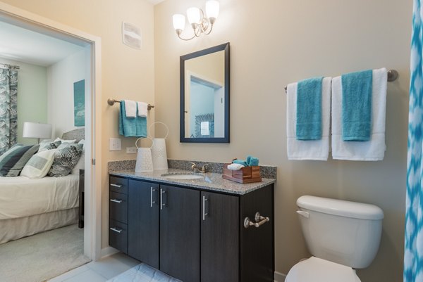 Modern bathroom with sleek fixtures at Bridgeside at Patriots Point Apartments