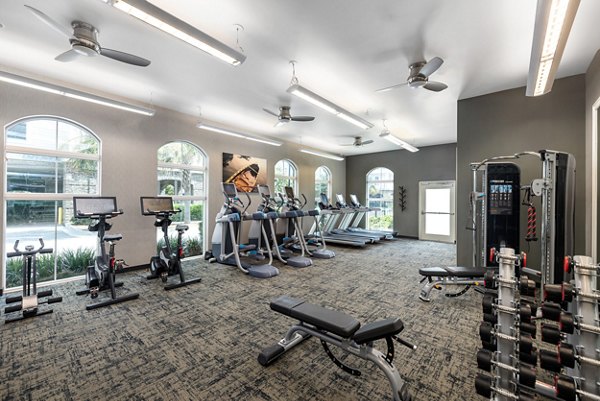 fitness center at Bridgeside at Patriots Point Apartments