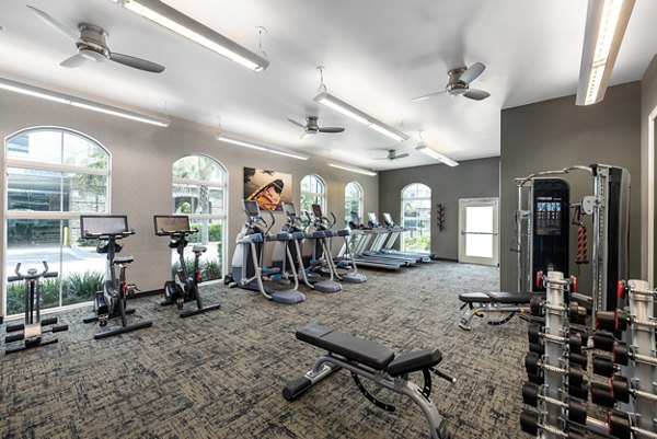 State-of-the-art fitness center at Bridgeside at Patriots Point Apartments offering modern exercise equipment and wellness amenities