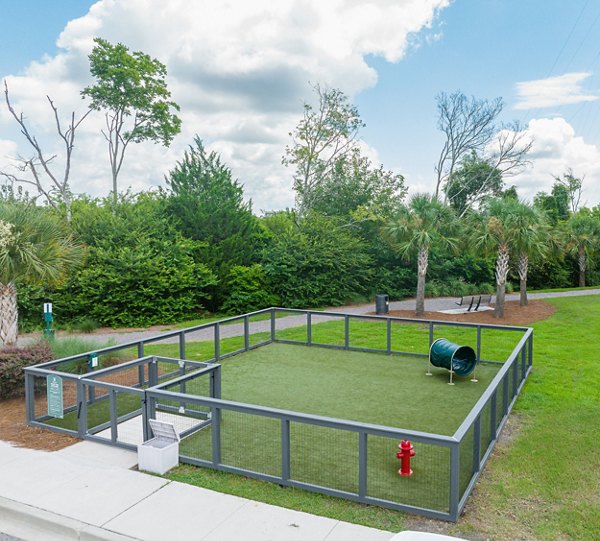 Dog-friendly park with agility equipment at Bridgeside at Patriots Point Apartments
