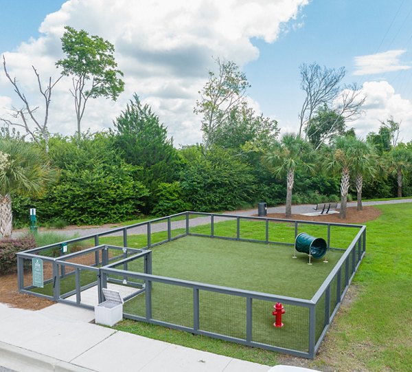 dog park at Bridgeside at Patriots Point Apartments