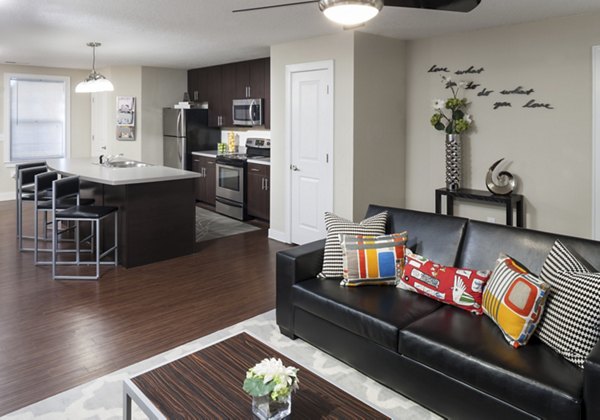 Modern living room and kitchen with stylish decor and stainless steel appliances in luxury apartments