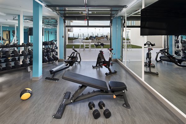 State-of-the-art fitness center with modern equipment at Pierside Apartments, offering luxury living and wellness amenities