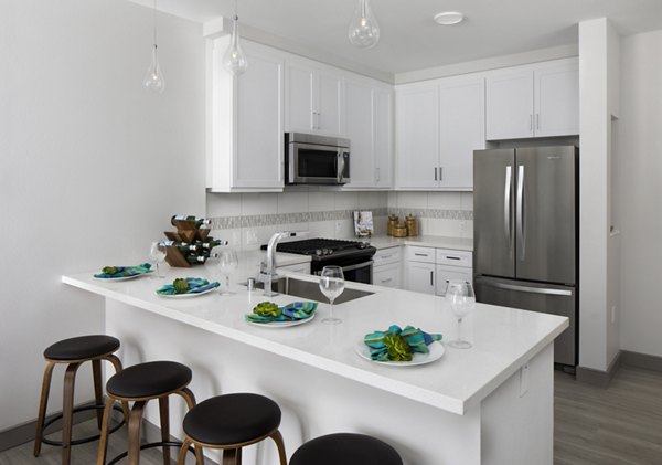 Modern kitchen featuring stainless steel appliances and granite countertops at Pierside Apartments, luxury living near the waterfront