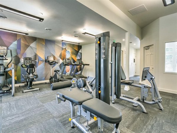 State-of-the-art fitness center with modern equipment at Rosewood Apartments