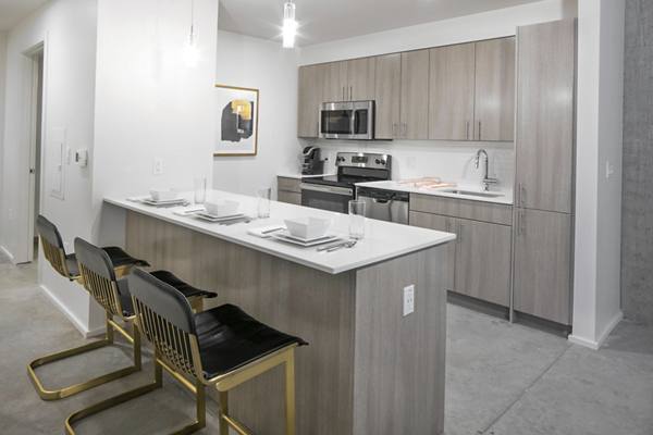 kitchen at NV Apartments