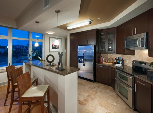 Modern kitchen with sleek countertops and stainless steel appliances at Ashton San Francisco Apartments