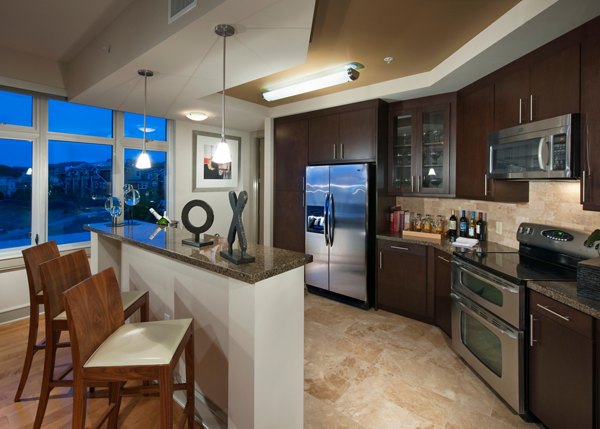 Modern kitchen with stainless steel appliances at Ashton San Francisco Apartments, luxury living by Greystar