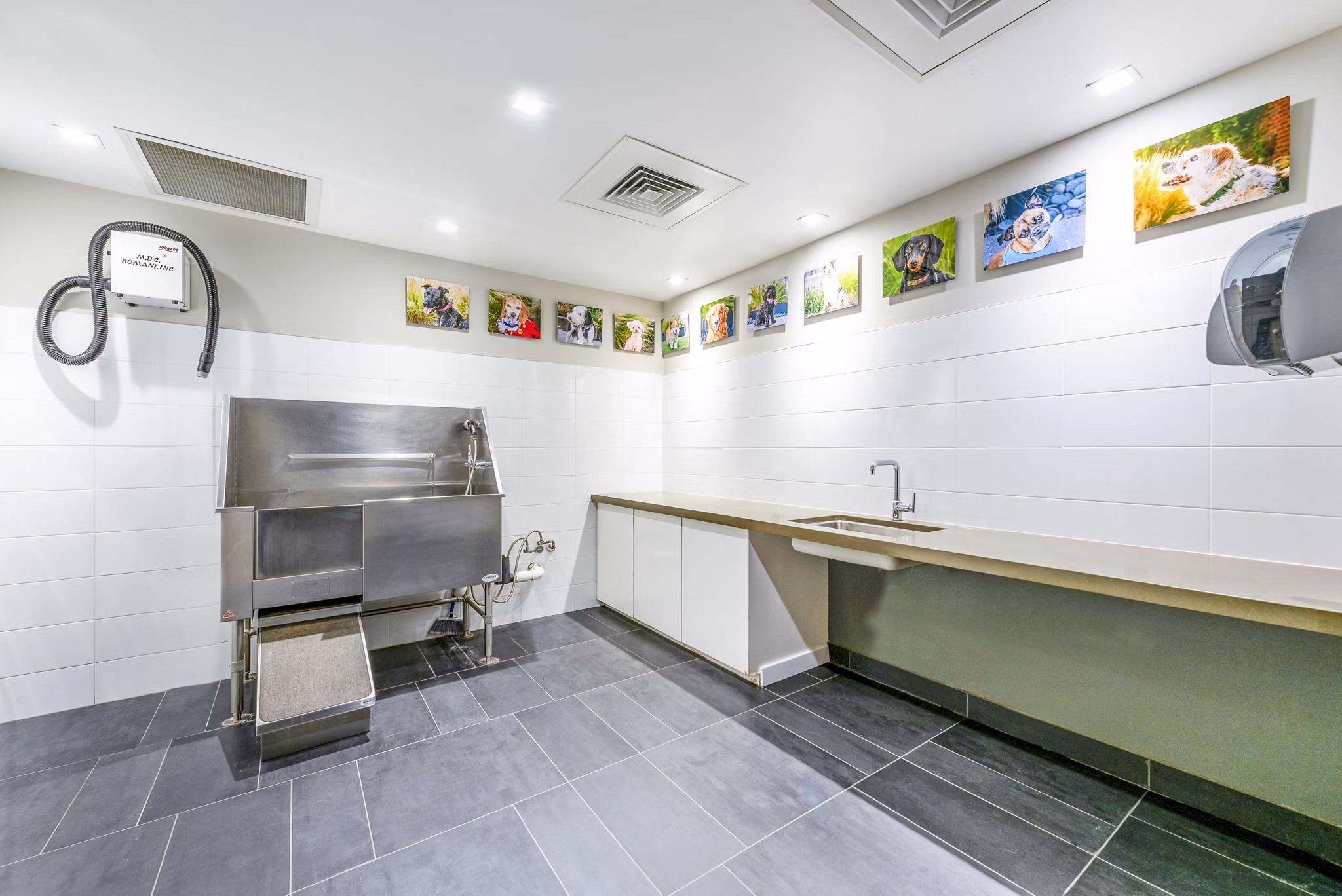 dog wash station at ORE 82 Apartments