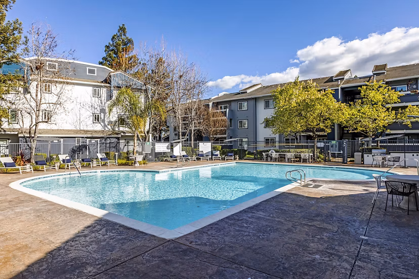 Resort-style pool at Avana Almaden Apartments with lounge chairs and greenery, offering a luxurious outdoor experience for residents