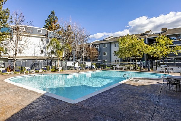 pool at Avana Almaden Apartments