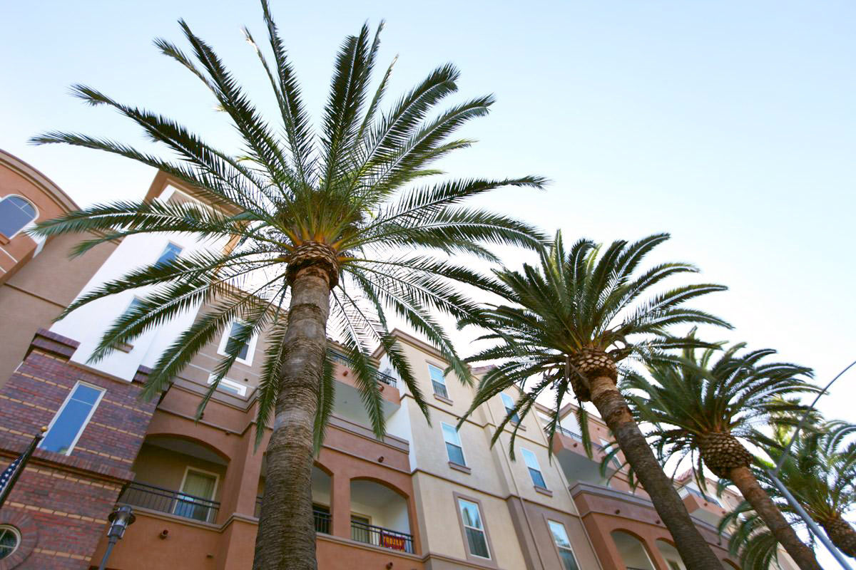Tuscany Apartments Los Angeles Ca 2 of 12