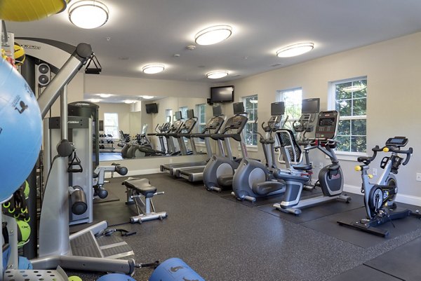 State-of-the-art fitness center at Lux at Stoughton Apartments featuring cardio machines and free weights
