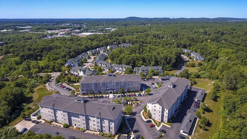 Aerial view of luxury apartments nestled among lush trees and greenery in the community