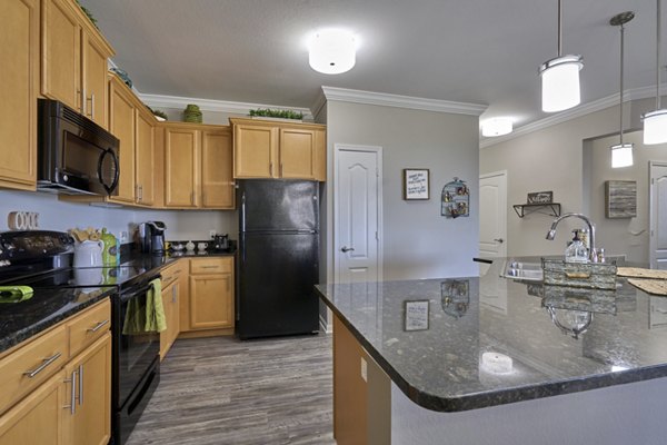 Modern kitchen with stainless steel appliances at Arietta Apartments