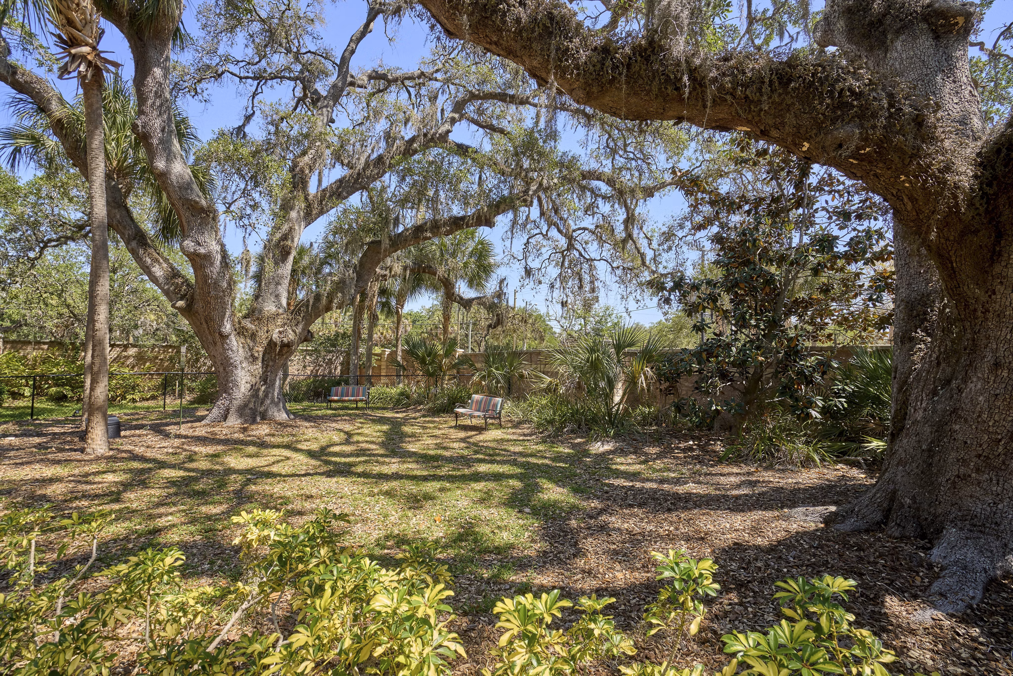 Arietta Apartments: Dog park with agility equipment and shaded seating, perfect for pet-friendly living