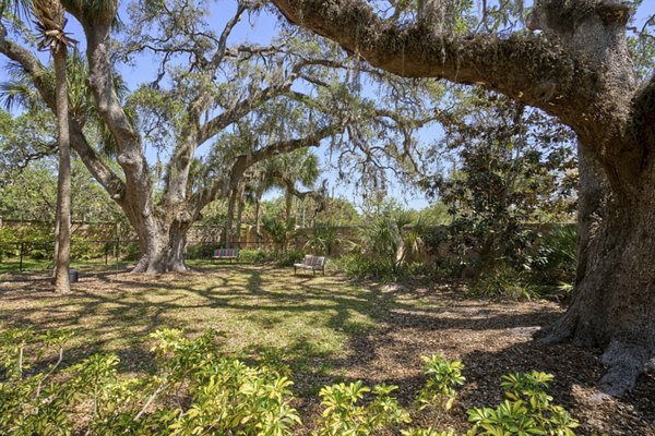 Arietta Apartments: Dog park with agility equipment and shaded seating, perfect for pet-friendly living
