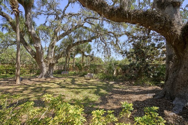 dog park at Arietta Apartments