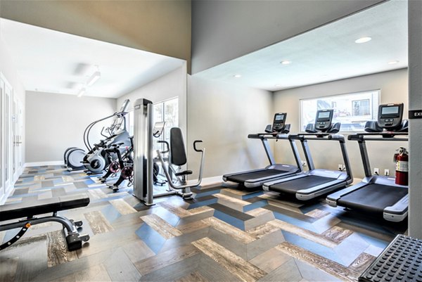State-of-the-art fitness center at Avana Stoneridge Apartments with modern equipment for a comprehensive workout experience
