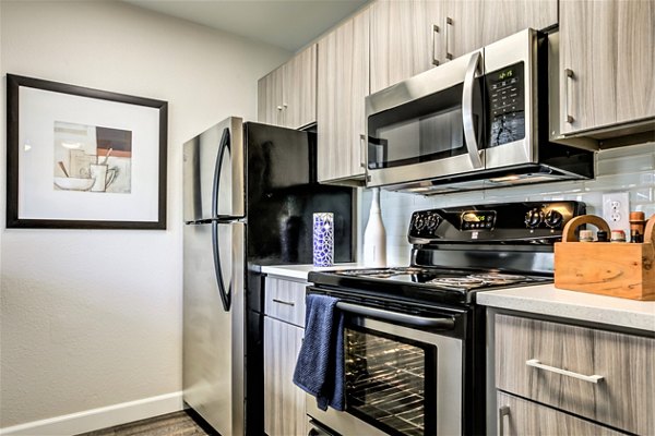 Modern kitchen with stainless steel appliances at Avana Stoneridge Apartments