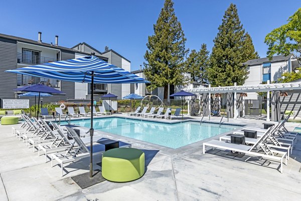 Olympic-size pool at Avana Stoneridge Apartments, offering luxury leisure spaces and modern design amenities
