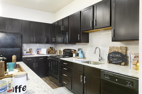 Modern kitchen with stainless steel appliances in Villas on the Hill Apartments