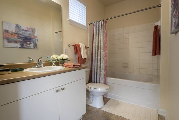 bathroom at Windsor at Tryon Village Apartments