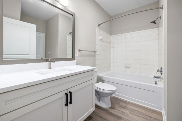 Luxury bathroom with elegant fixtures and granite countertops at Windsor at Tryon Village Apartments