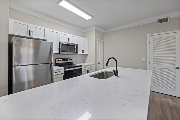 Windsor at Tryon Village: Modern kitchen with stainless steel appliances and quartz countertops in Cary apartments