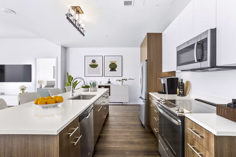 Modern kitchen featuring stainless steel appliances in Dianne Apartments, luxury living by Greystar