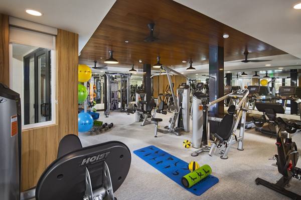 fitness center at The Hudson Apartments