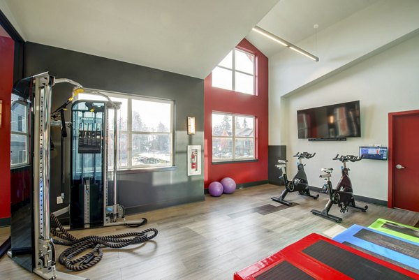 State-of-the-art fitness center featuring modern equipment at Avana One Six Four Apartments