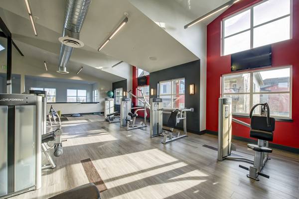fitness center at Avana One Six Four Apartments