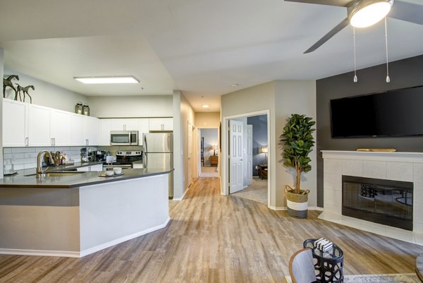 Sleek kitchen with modern appliances at Avana One Six Four Apartments in a luxury Greystar community