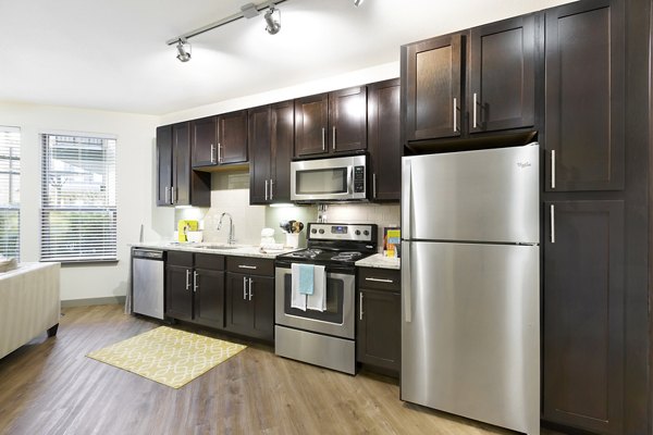 Modern kitchen with stainless steel appliances at West Koenig Flats Apartments in Austin, designed for stylish living