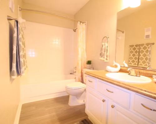Luxury bathroom with marble countertops and modern fixtures at CP Waterfront Apartments