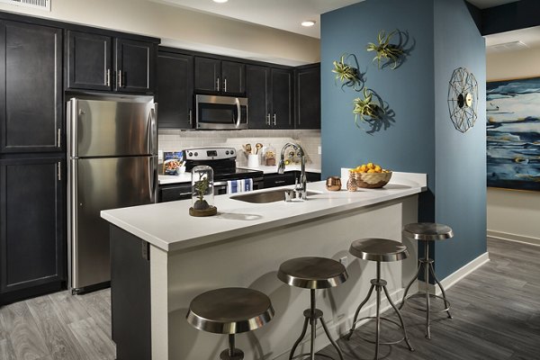 Sleek kitchen with stainless steel appliances and granite countertops at Solaire Apartments, a Greystar luxury property