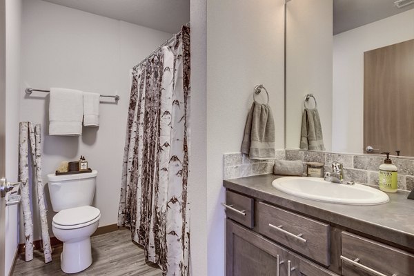 Elegant bathroom with modern fixtures at Bella Tess Apartments, offering luxury living in a serene setting