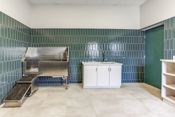 dog wash station at Uptown La Grange Apartments