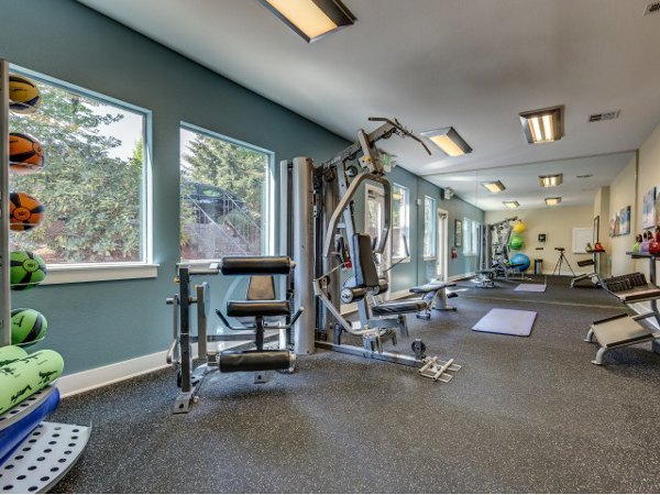 State-of-the-art fitness center with modern equipment at Onyx Apartments, ideal for luxury living and an active lifestyle