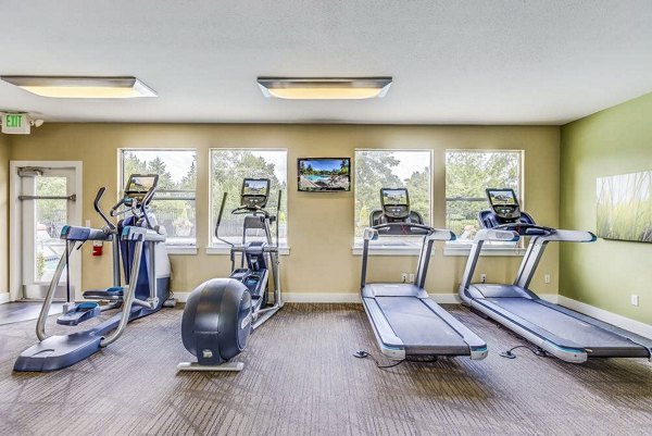 State-of-the-art fitness center with modern equipment at Onyx Apartments 14590FIT31