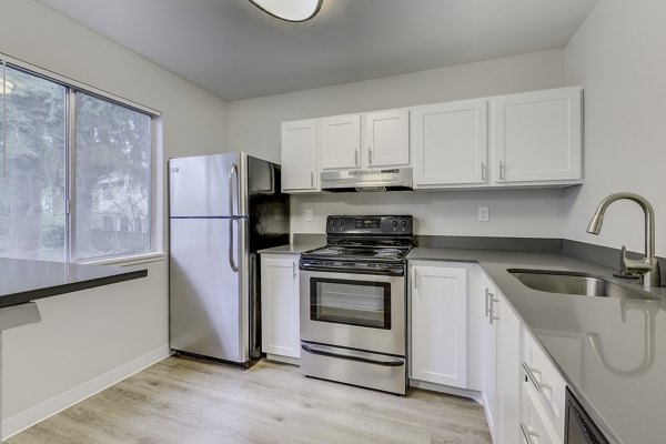 Modern kitchen with stainless steel appliances at Onyx Apartments