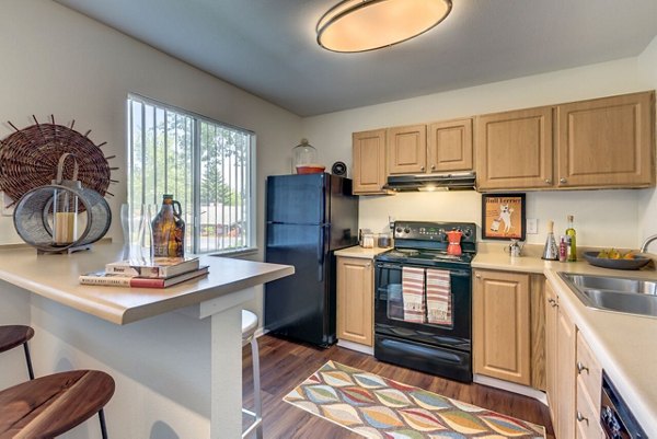 Modern kitchen with stainless steel appliances at Onyx Apartments